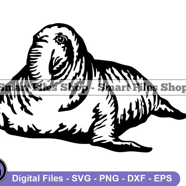 Elephant Seal #2 SVG, Sea Lion SVG, Animals Svg, Elephant Seal Dxf, Elephant Seal Png, Elephant Seal Clipart, Elephant Seal Files, Eps