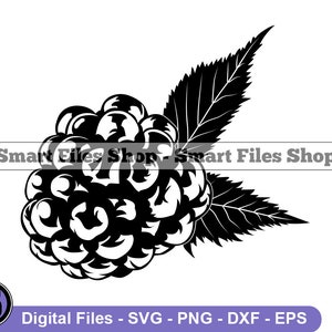 May include: Black and white silhouette of a blackberry with leaves. The blackberry is a cluster of small, round berries.