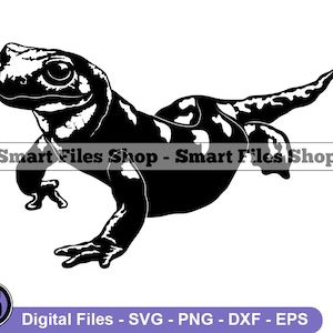 Salamander #4 Svg, Salamander Svg, Lizard Svg, Salamander Dxf, Salamander Png, Salamander Clipart, Salamander Files, Eps