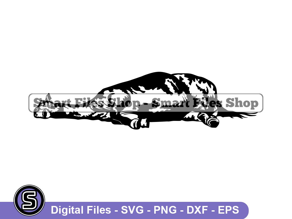 Horse Lying Down Svg Horse Svg Sleeping Horse Svg Horse Etsy