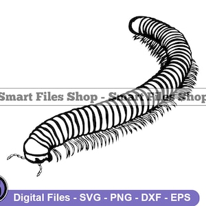 Stonoga Svg, Owad Svg, Stonoga Dxf, Stonoga Png, Stonoga Clipart, Pliki Stonogi, Eps
