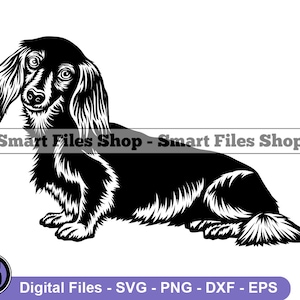 Sitting Miniature Long Haired Dachshund SVG, Dachshund Svg, Dog Svg, Dachshund Dxf, Dachshund Png, Dachshund Clipart, Dachshund Files, Eps