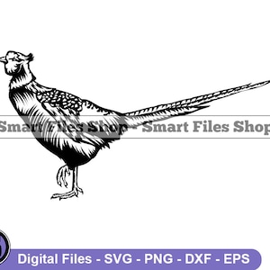 Pheasant #5 SVG, Pheasant SVG, Pheasant Dxf, Pheasant Png, Pheasant Clipart, Pheasant Files, Eps