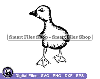 Baby Goose #2 SVG, Goose SVG, Geese Svg, Baby Goose Dxf, Baby Goose Png, Baby Goose Clipart, Baby Goose Files, Eps