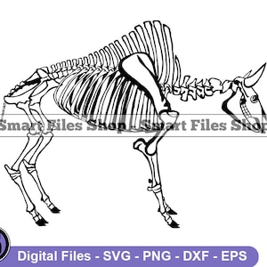 Bison Skeleton Svg, Bison Svg, Buffalo Svg, Bison Dxf, Bison Png, Bison Clipart, Bison Files, Eps