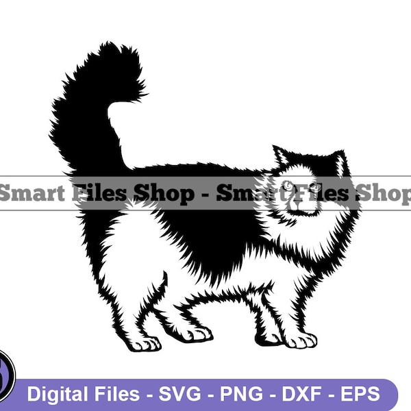 Ragamuffin Cat Svg, Cat Svg, Pet Svg, Ragamuffin Cat Cut Files, Ragamuffin Cat Dxf, Cat Png, Cat Clipart, Cat Files, Cat Eps