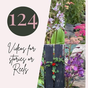 124 Wildflowers Content Videos | Stories, TikTok, Instagram Reels, YouTube Shorts, Pinterest |