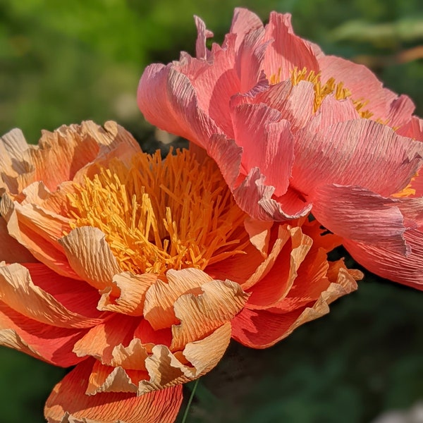 Crepe Paper Flower Peony Peach Pink | Handmade |  | Paper First Wedding Anniversary | Faux Flowers | Event, Wedding & Display Decoration