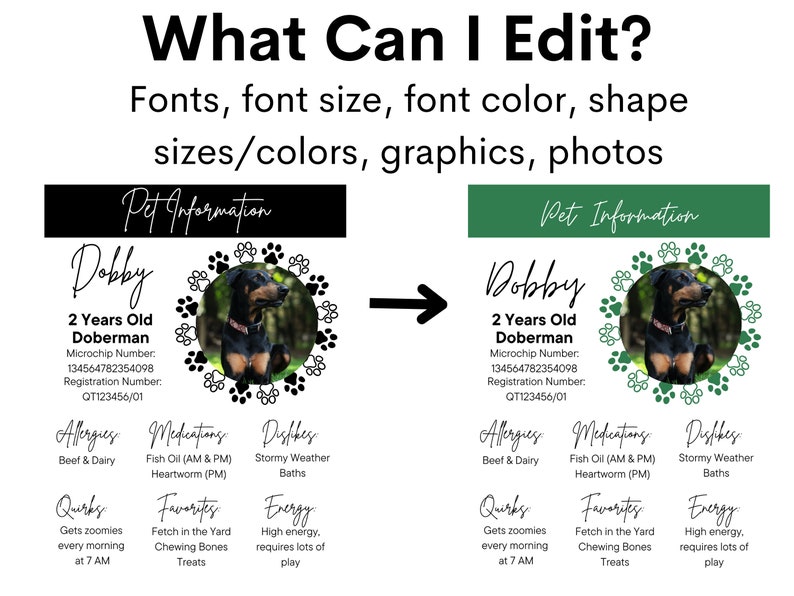 Pet Care Instructions Template Pet Sitter Notes Pet Sitter Pet Care Instructions Template Pet Sitter Notes Pet Sitter