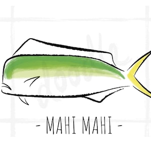 Mahi Mahi Clipart PNG || Dorado Dolphinfish Fish Ocean Fishing Digital Download Illustration Printable