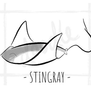 Stingray Clipart PNG || Sting Ray Ocean Sea Digital Digital Download Illustration Printable