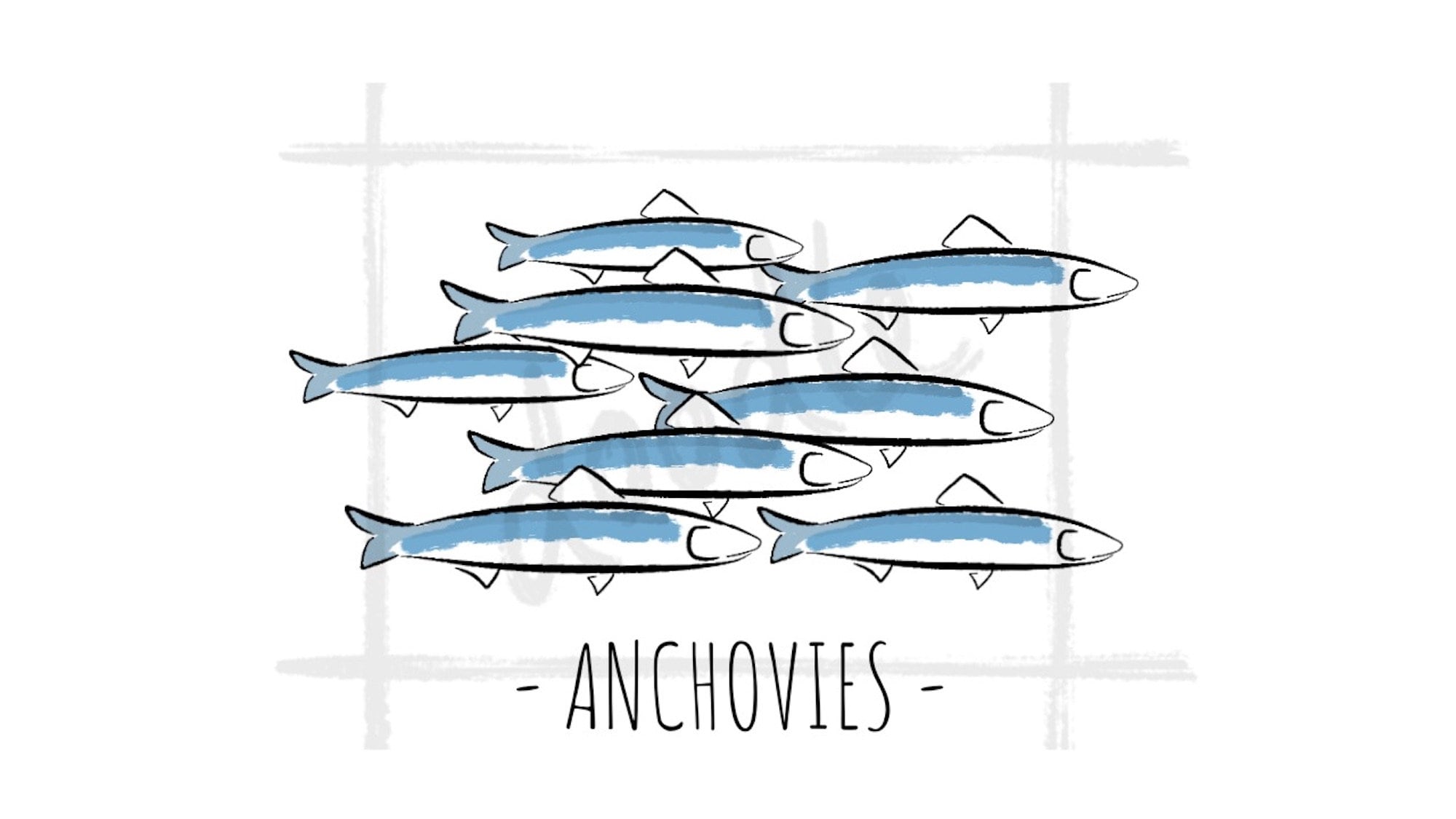 School of Anchovies Clipart PNG Anchovy Fish Ocean Sea Digital Download