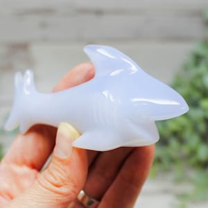 Blue Chalcedony Shark Carving: Crystal Ocean Decor