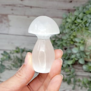 Selenite Crystal Mushrooms | Selenite Mushroom | Crystal Mushroom Carving | Satin Spar | Gypsum | Decor | Healing | Cleansing Crystal