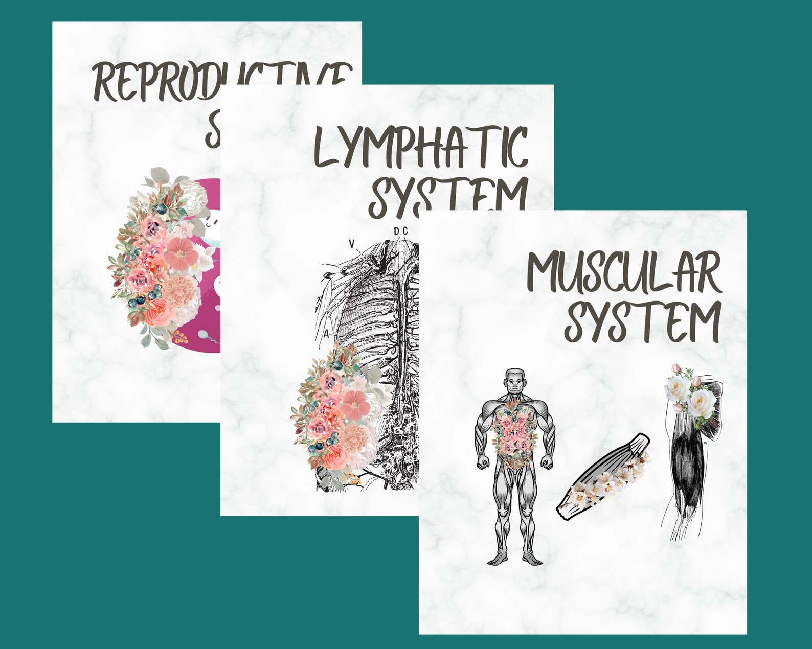 Nursing Notes Binder Cover Medical Student Anatomy and Physiology ...