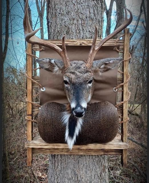 Taxidermy Backpack Mount Etsy