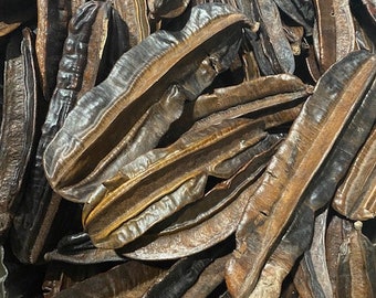 Aidan Fruit, Prekese- Tetrapleura Tetraptera-Uhio, Uyayak - Traditional Herbs and Spices for Authentic African Cuisine