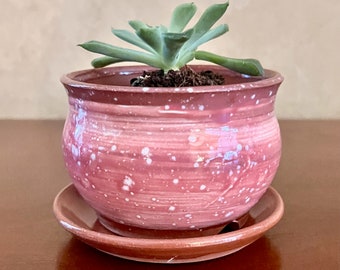 Tiny Pink Terra Cotta Flower Pot, Drainage Holes & Saucer