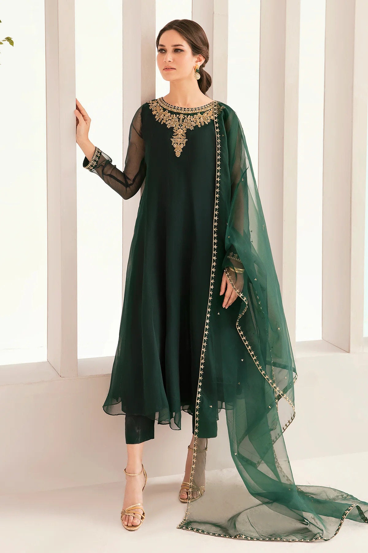 Pakistani chiffon dresses 2018 deals