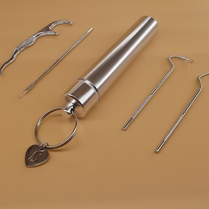 Palillo de dientes de metal reutilizable con estuche- Llavero limpiador de dientes portátil Palillo de dientes de viaje Elementos esenciales de limpieza bucal Palillo de dientes personalizado