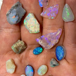 Könnte beinhalten: Eine Sammlung von Opalen in verschiedenen Formen und Größen, gehalten in einer Hand. Die Opale zeigen eine Reihe von Farben, darunter Blau, Grün, Rosa und Weiß, mit schillernden Blitzen. Einige sind poliert, andere roh.