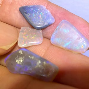 Könnte beinhalten: Fünf polierte Opal-Edelsteine in verschiedenen Formen und Größen. Die Opale zeigen eine Reihe von Farben, darunter Blau, Weiß und schillernde Blitze. Die Edelsteine werden in einer Hand gehalten und zeigen ihre natürliche Schönheit und einzigartigen Muster.