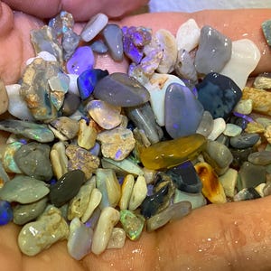 Könnte beinhalten: Eine Handvoll roher Opalsteine in verschiedenen Formen und Größen. Die Opale zeigen eine Reihe von Farben, darunter Blau, Grün, Gelb und Weiß, mit schillernden Blitzen. Die Steine werden in einer Hand gehalten, um ihre natürliche Schönheit und Textur zu präsentieren.