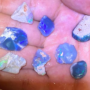 May include: A collection of eight small, rough-cut opal gemstones in various shades of blue and white. The opals are displayed on a hand.