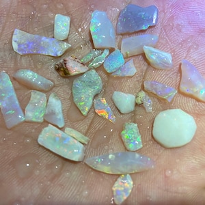 Könnte beinhalten: Eine Sammlung roher Opal-Edelsteine in verschiedenen Formen und Größen, die schillernde Farbblitze zeigen. Die Opale reichen von milchig weiß bis durchscheinend, mit sichtbaren Farbspieleffekten.