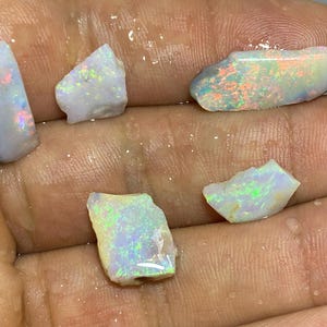 Könnte beinhalten: Eine Sammlung roher Opal-Edelsteine, die eine Vielzahl von Formen und Größen aufweisen. Die Opale zeigen schillernde Farben, darunter grüne, orangefarbene und blaue Blitze, vor einem weißen oder grauen Hintergrund. Die Edelsteine werden in einer Hand gehalten.