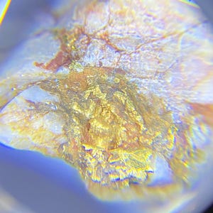 Può includere: Una vista macro di un esemplare minerale grezzo caratterizzato da una base di quarzo bianco traslucido con venature prominenti di depositi d'oro metallico. La superficie presenta una consistenza ruvida e irregolare con profonde fessure e strutture cristalline.
