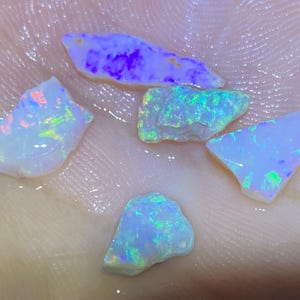 May include: Five iridescent opal gemstones in various shapes and sizes. The opals are a mix of white, blue, green, and purple.