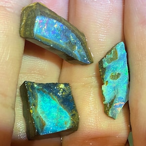 Könnte beinhalten: Drei Stücke roher Opal, die eine Vielzahl von Farben und Mustern zeigen. Die Opale sind dunkelbraun mit blauen, grünen und violetten Schimmern.