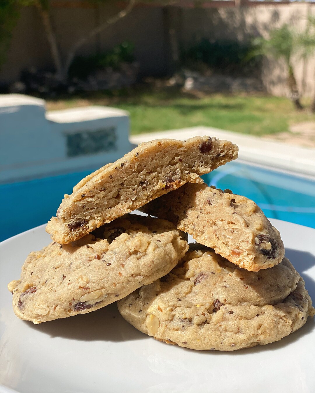 6 Pack Oatmeal Raisin Lactation Cookies Etsy