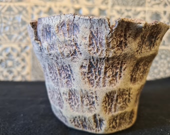Maceta de cerámica para suculentas, cactus, etc.