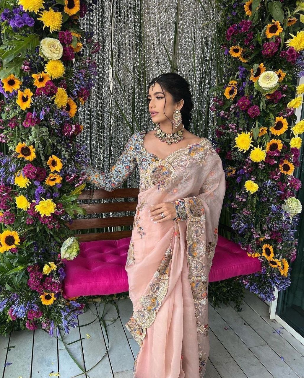 New organza best sale sarees