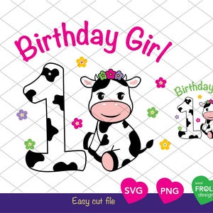 Aazon.co: Holy Cow I One Birthday Decorations - Cow Birthday Party