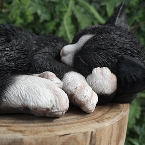 May include: A black and white cat figurine in a sleeping position, featuring textured fur details, a white muzzle, and white paws. The cat is resting with its head tucked near its front paws, showcasing a realistic sculpted appearance.