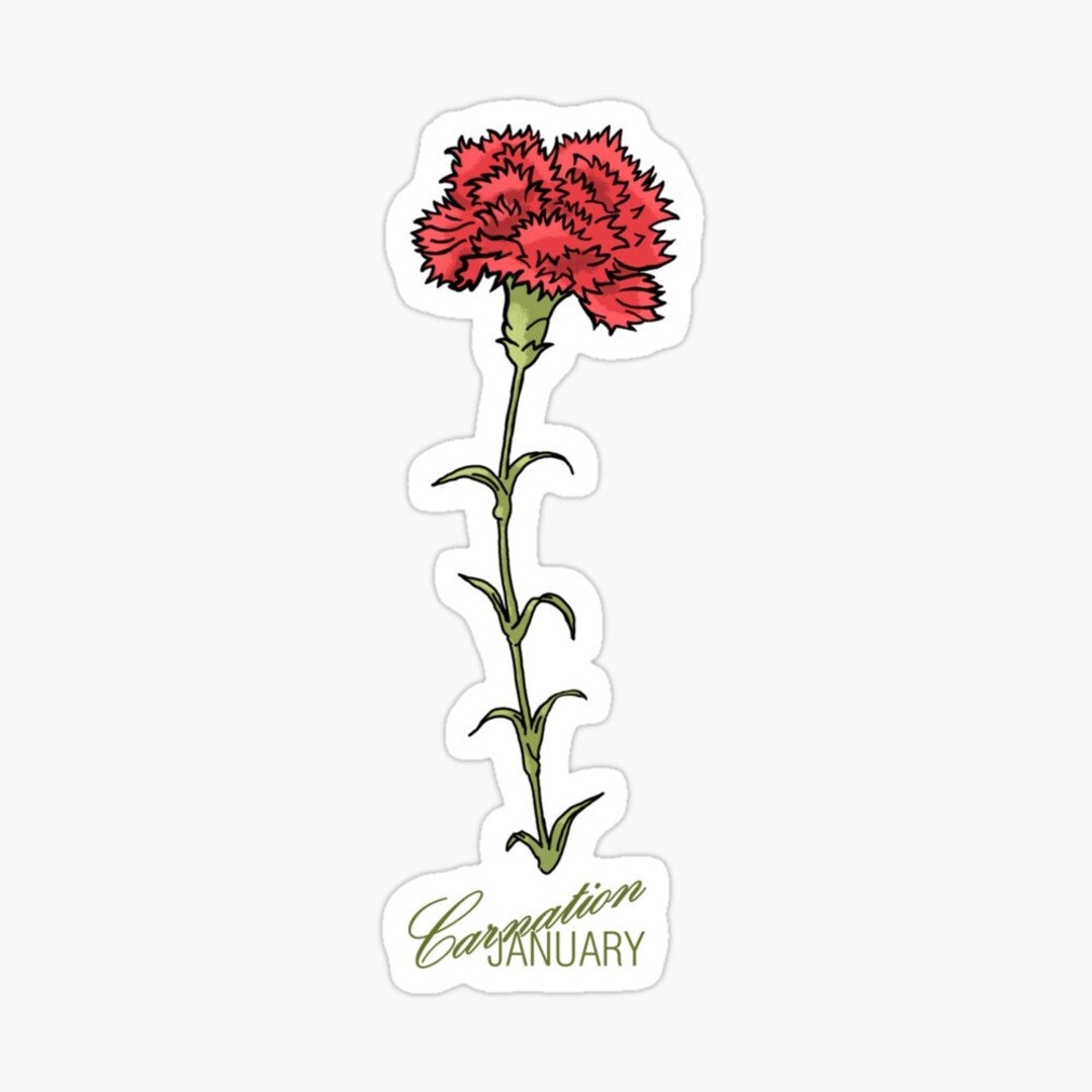 Red Carnation Sticker Carnation Decal January Birth Flower Etsy