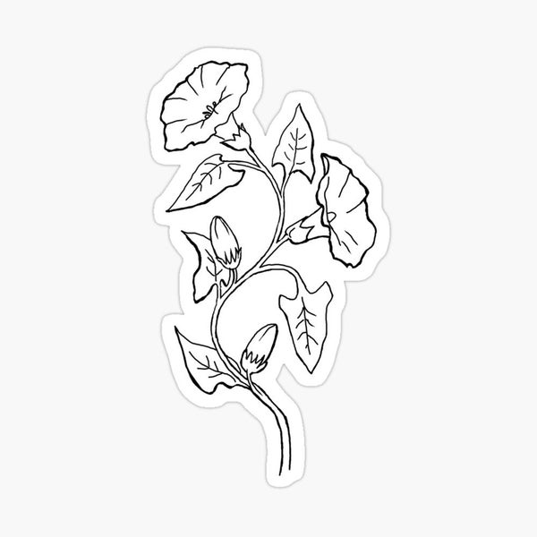 Morning Glory Print - Etsy