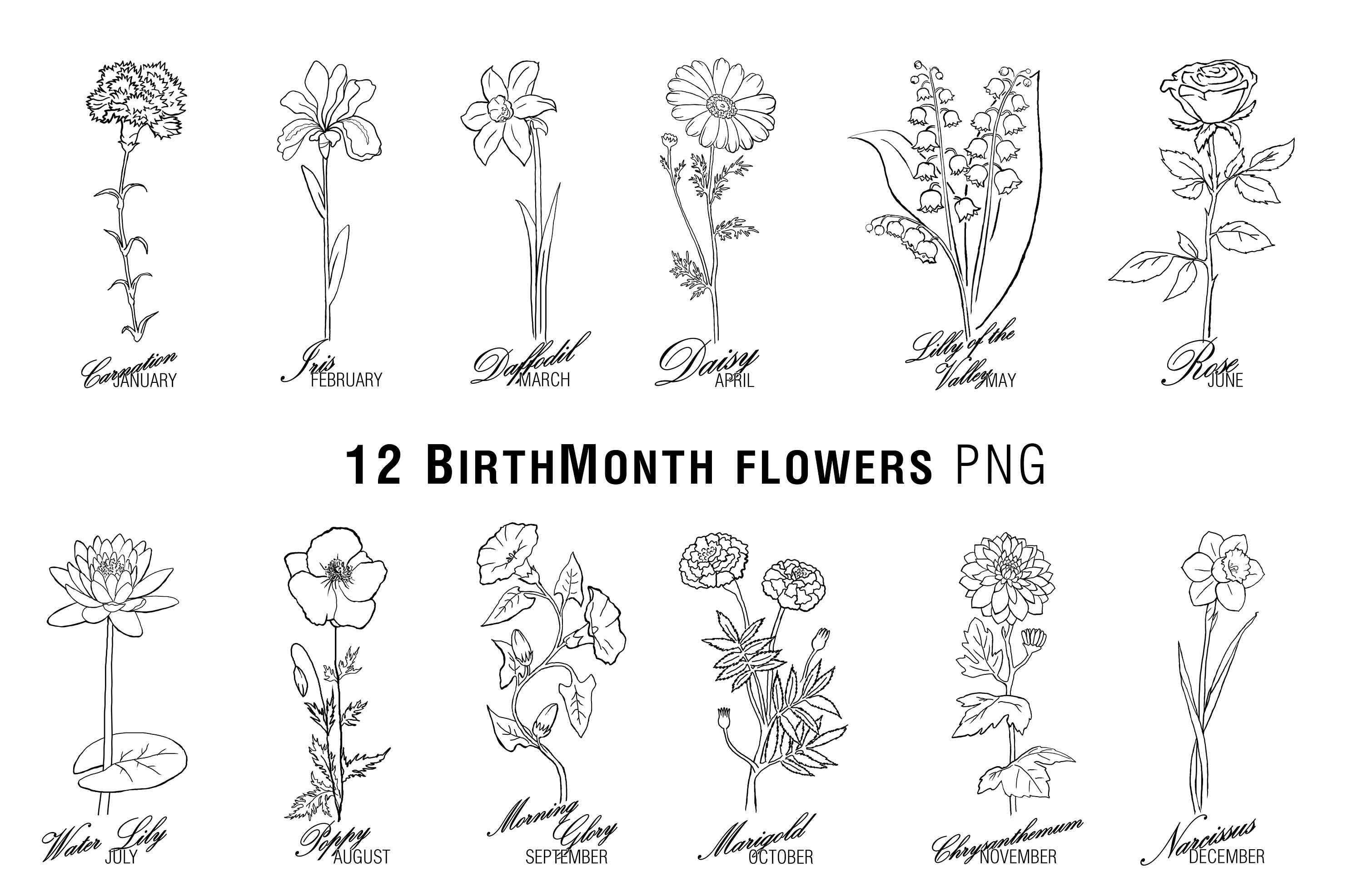 Birth Month Flowers With Names Digital Art Birth Month Flower Etsy