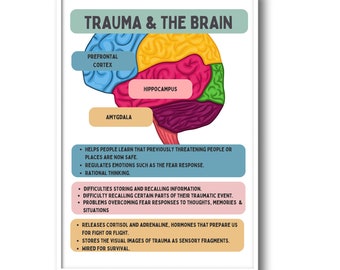 Truam and the brain poster, trauma response poster, PTSD, Therapy Office Decor, Trauma Therapy, School Counselor, PTSD posters, counselling