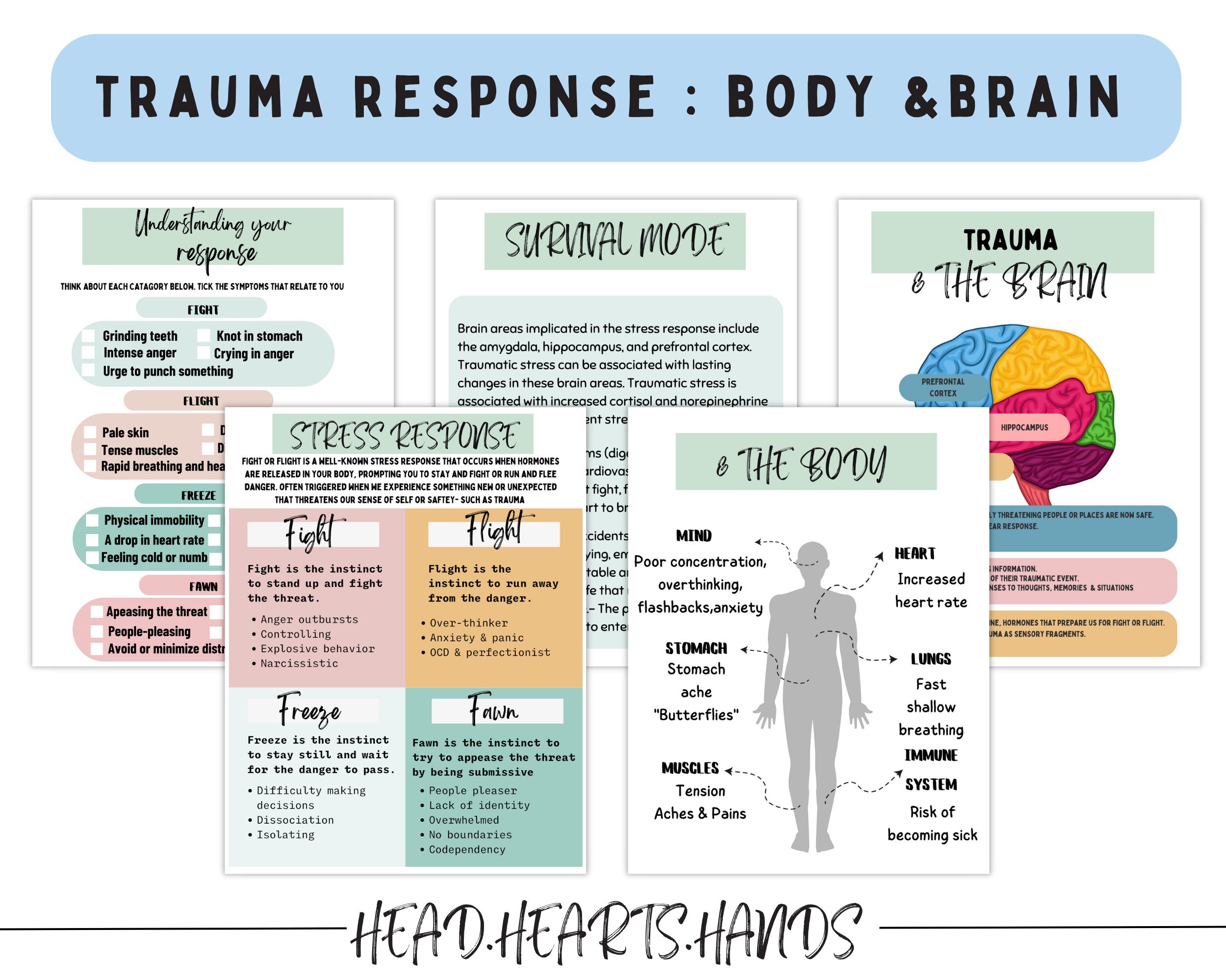 Fight Flight Freeze and Fawn Response Worksheets,trauma Response,trauma ...