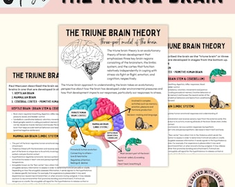 Triune Brain Model, trauma and the brain, healing trauma, trauma response, anxiety relief, EMDR, CPTSD, flipping your lid, trauma worksheets