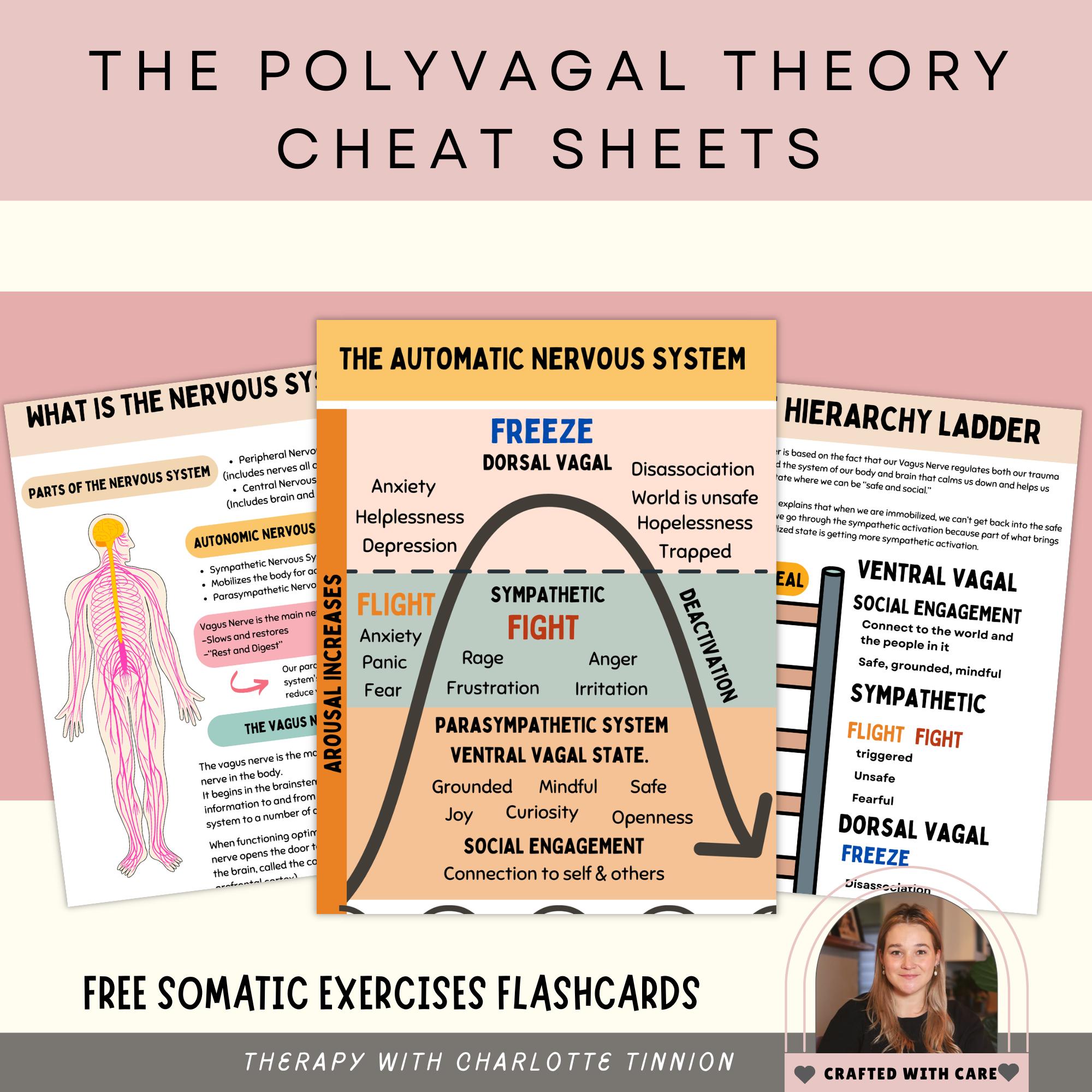 Polyvagal Theory Worksheets, Polyvagal Theory Cheat Sheet, Nervous ...