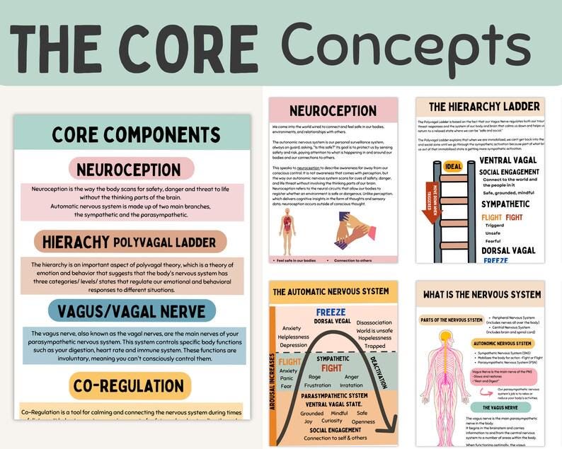 Puede incluir: Un infogr&aacute;fico colorido que explica los conceptos b&aacute;sicos de la neurocepci&oacute;n, la teor&iacute;a polivagal y el sistema nervioso aut&oacute;nomo. El infogr&aacute;fico incluye diagramas y texto que explican los diferentes estados del sistema nervioso, incluidos los estados vagal ventral, simp&aacute;tico y vagal dorsal.