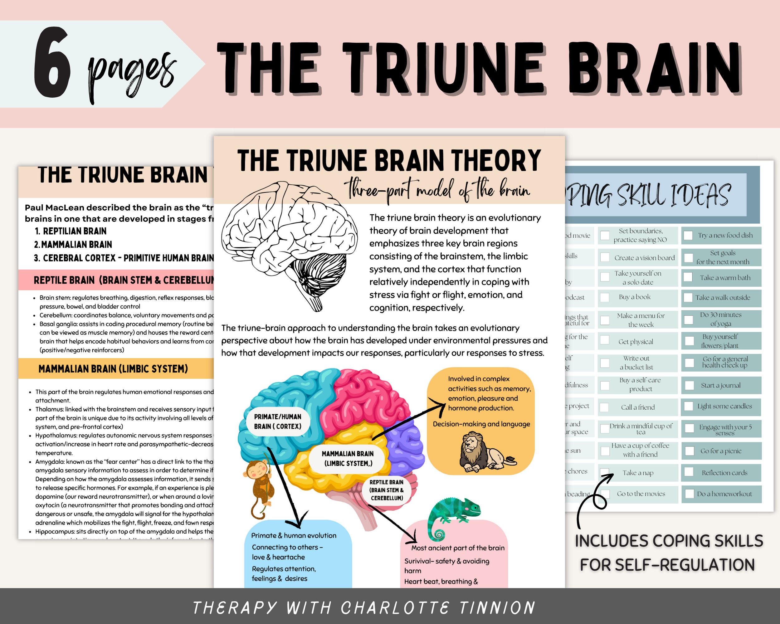Maclean Triune Brain