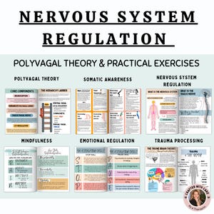 Op de afbeelding: Een kleurrijke infographic poster met de titel "Zenuwstelselregulatie" en de subtitels "Polyvagale theorie & praktische oefeningen", "Lichamelijk bewustzijn", "Zenuwstelselregulatie", "Mindfulness", "Emotionele regulatie" en "Traumaverwerking". De poster bevat illustraties en tekst met betrekking tot het zenuwstelsel, de polyvagale theorie en trauma-geïnformeerde zorg.