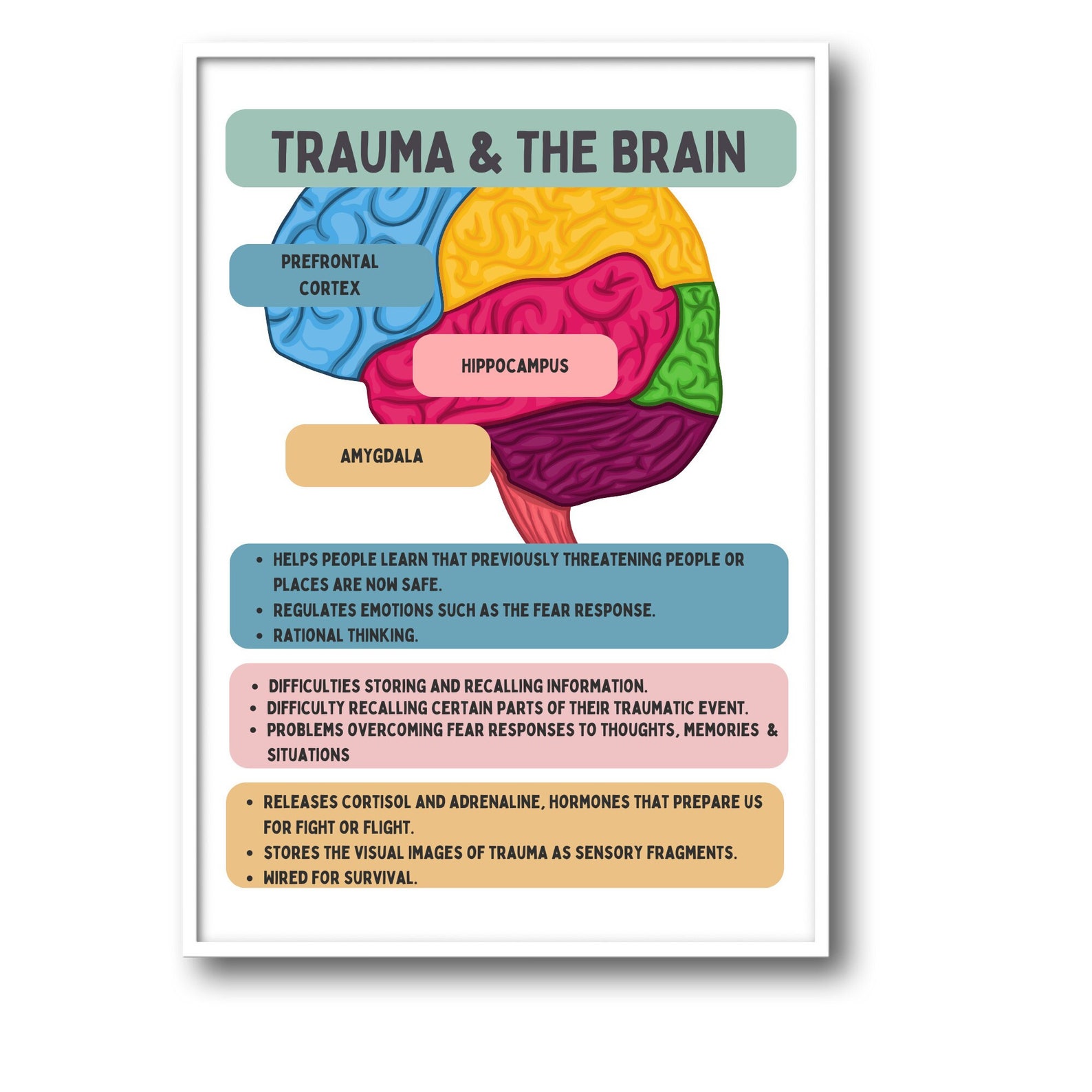 String Brain A4 Trauma and the Brain Poster, Therapy Office Decor (A4 PDF) - Etsy