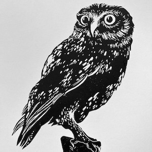 The Owl, love owlet, the guardian bird, art lino print, Handmade Linocut, Original Hand Carved, gift for him, a4 signed unique edition